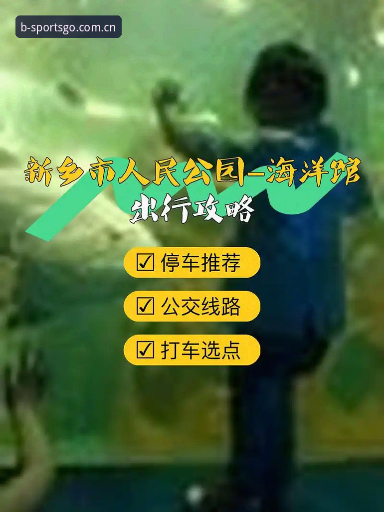 b体育怎么下载评测 b体育平台下载评测:从安装到实战的完整指南